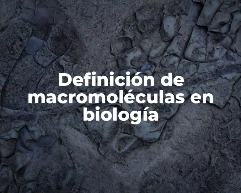 Definición de macromoléculas en biología