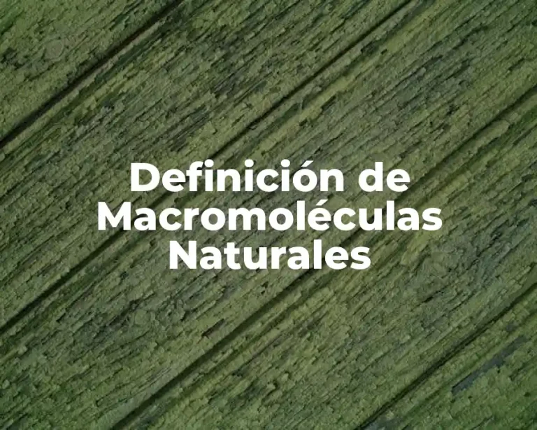Definición de Macromoléculas Naturales