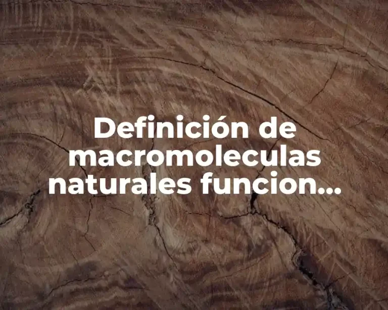 Definición de macromoleculas naturales funcion biologica quimica