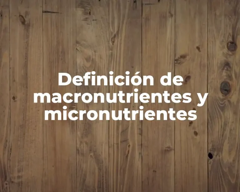 Definición de macronutrientes y micronutrientes