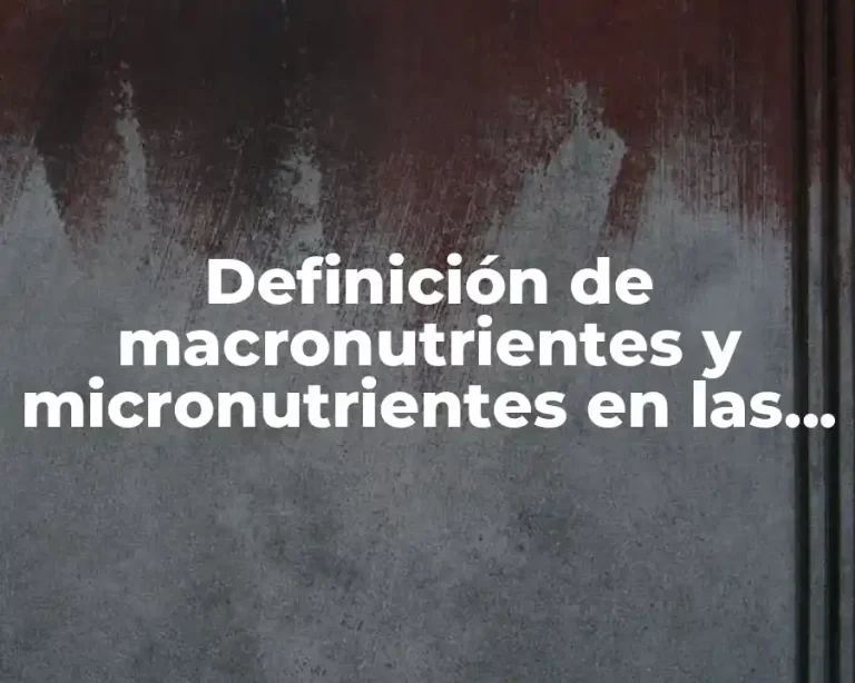 Definición de macronutrientes y micronutrientes en las plantas