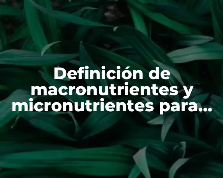 Definición de macronutrientes y micronutrientes para las plantas