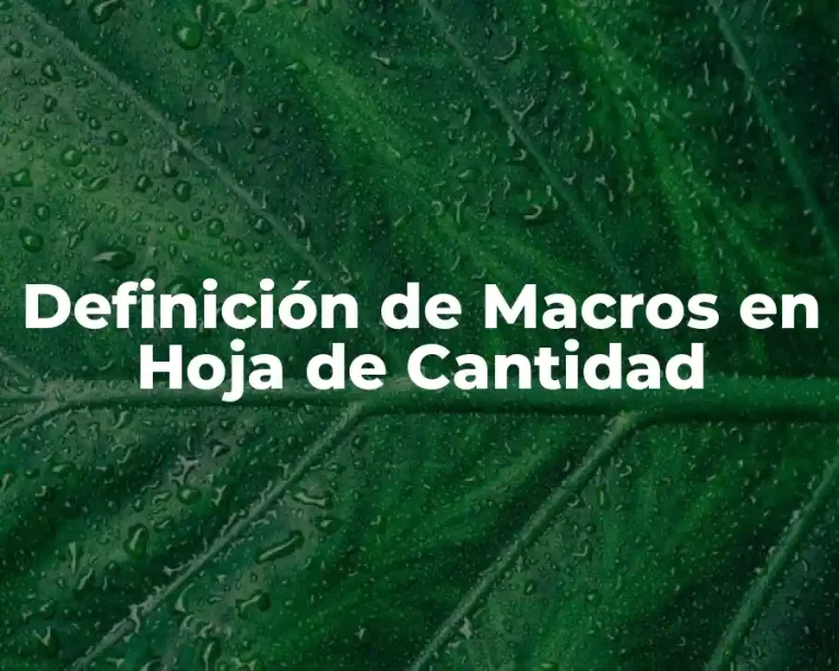 Definición de Macros en Hoja de Cantidad