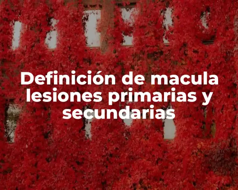 Definición de macula lesiones primarias y secundarias
