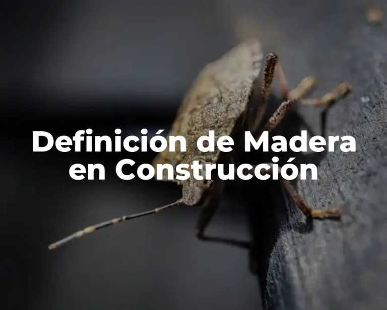 Definición de Madera en Construcción
