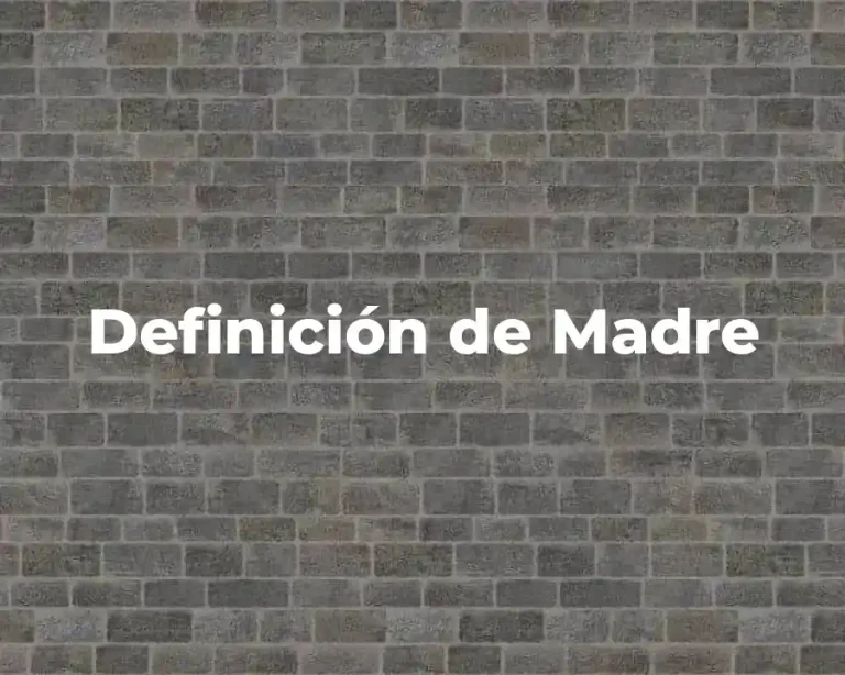Definición de Madre