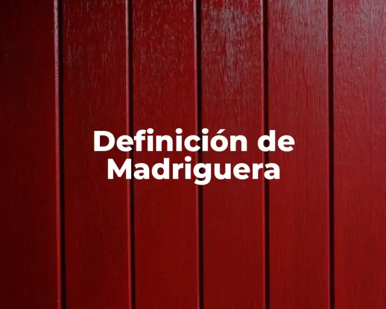 Definición de Madriguera