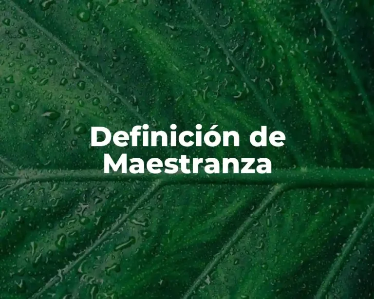 Definición de Maestranza