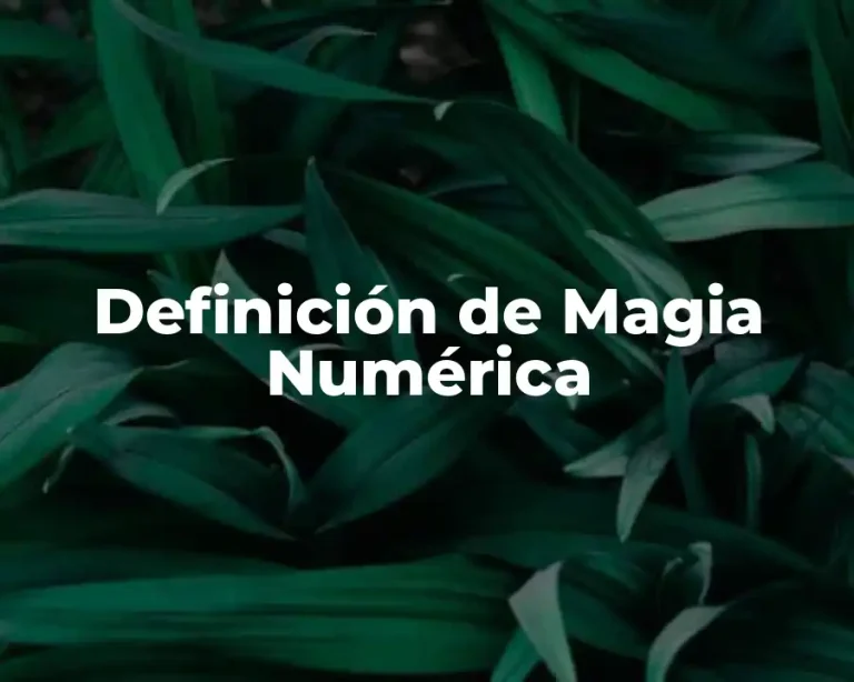 Definición de Magia Numérica