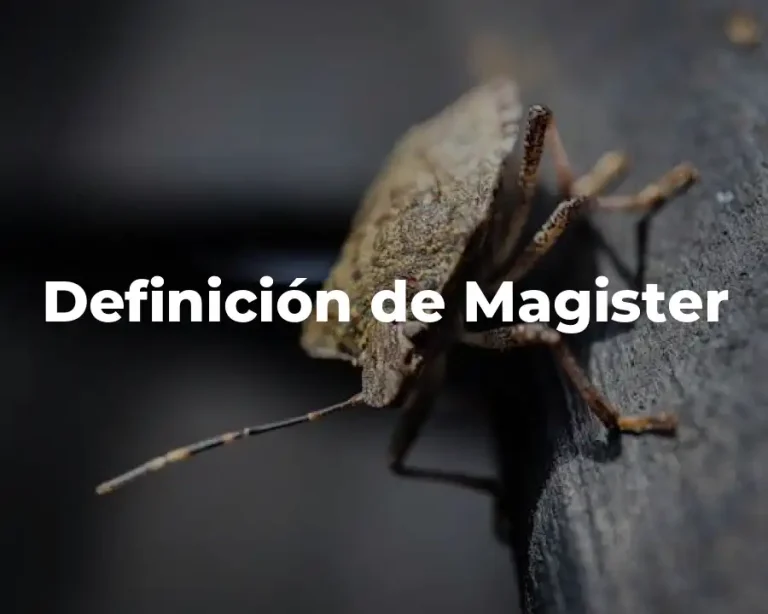 Definición de Magister