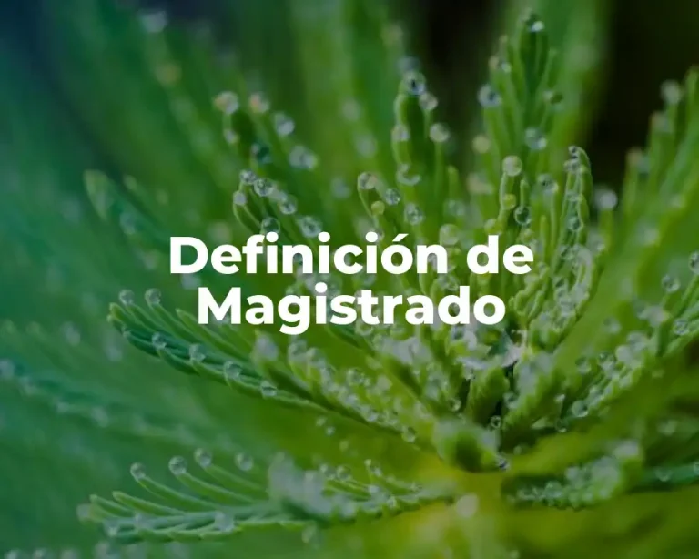 Definición de Magistrado