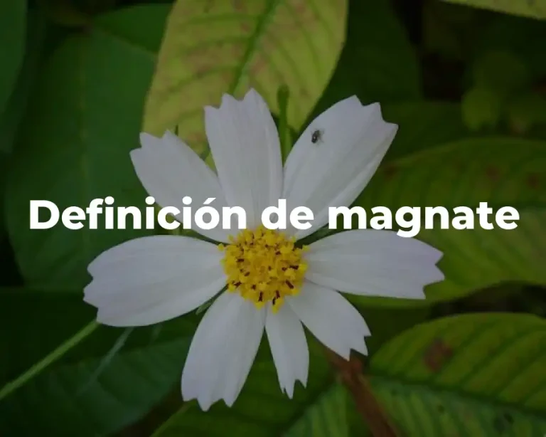 Definición de magnate