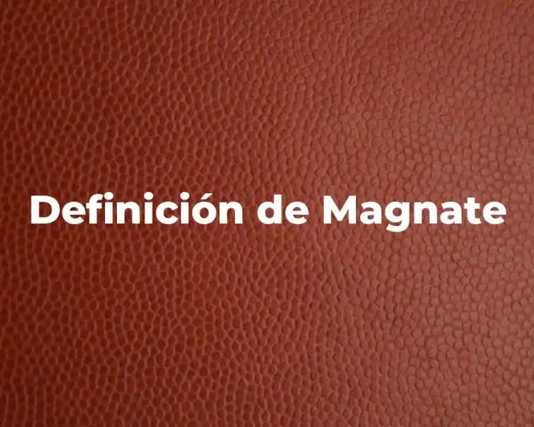 Definición de Magnate