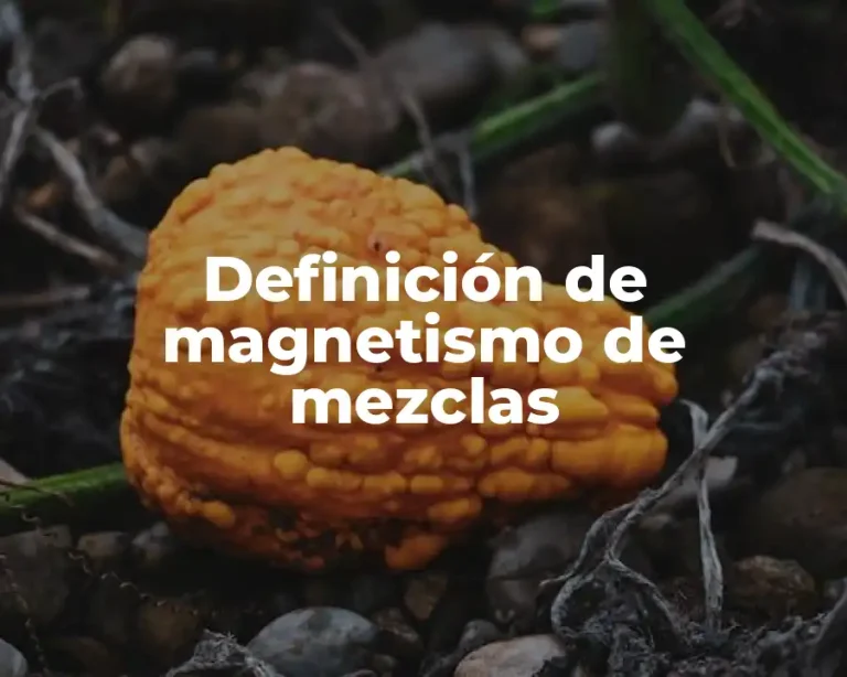 Definición de magnetismo de mezclas
