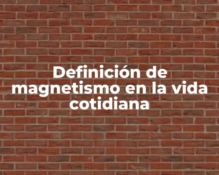Definición de magnetismo en la vida cotidiana