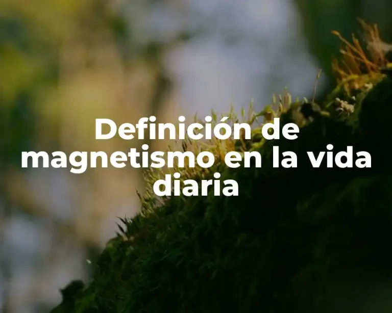 Definición de magnetismo en la vida diaria
