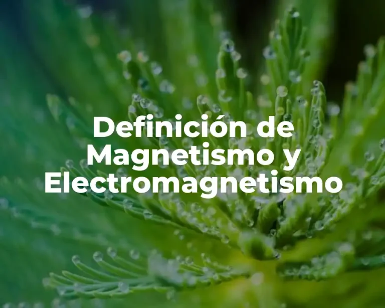 Definición de Magnetismo y Electromagnetismo