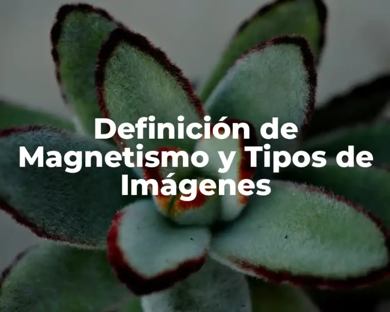 Definición de Magnetismo y Tipos de Imágenes