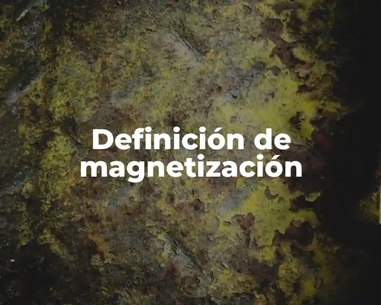 Definición de magnetización