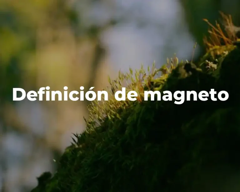 Definición de magneto