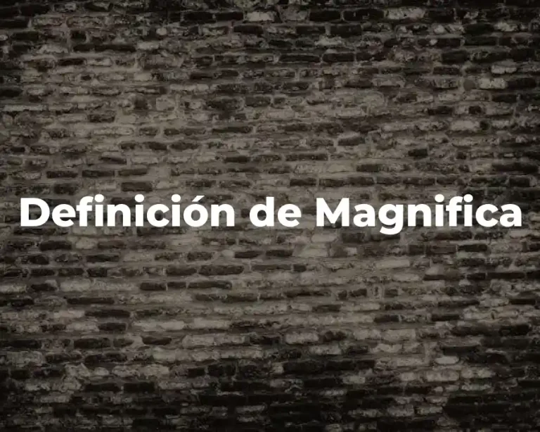 Definición de Magnifica