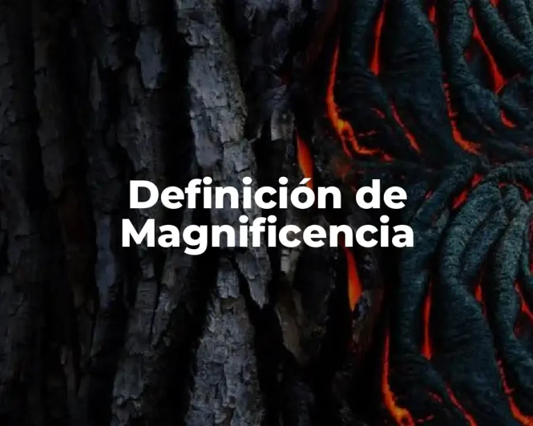 Definición de Magnificencia