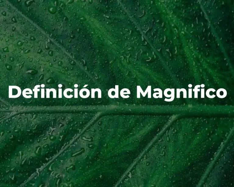 Definición de Magnifico