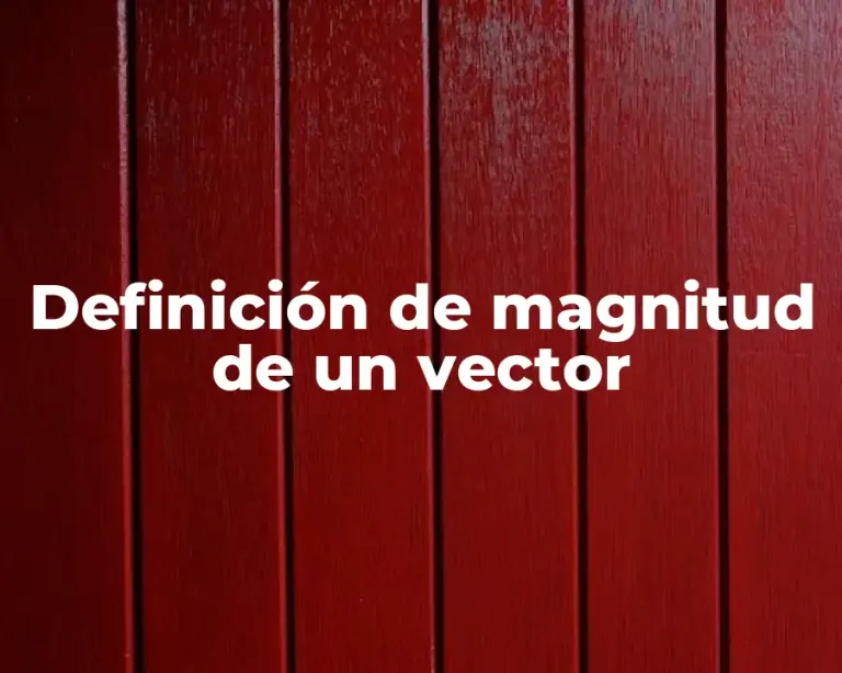 Definición de magnitud de un vector