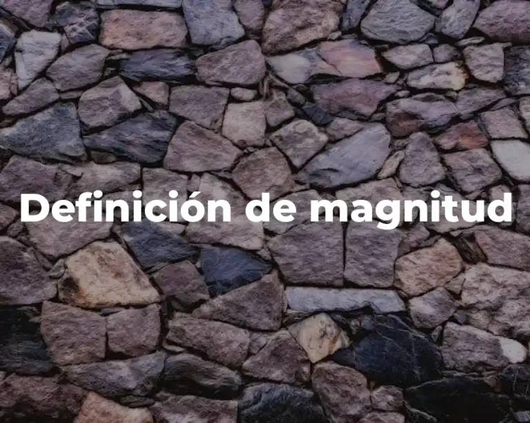 Definición de magnitud