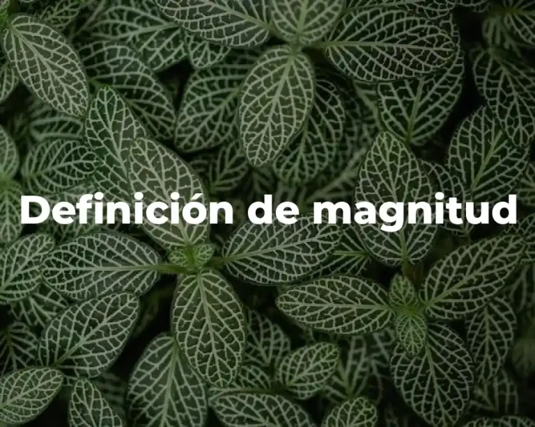 Definición de magnitud