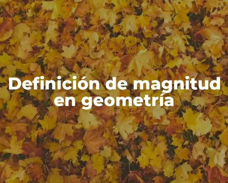 Definición de magnitud en geometría