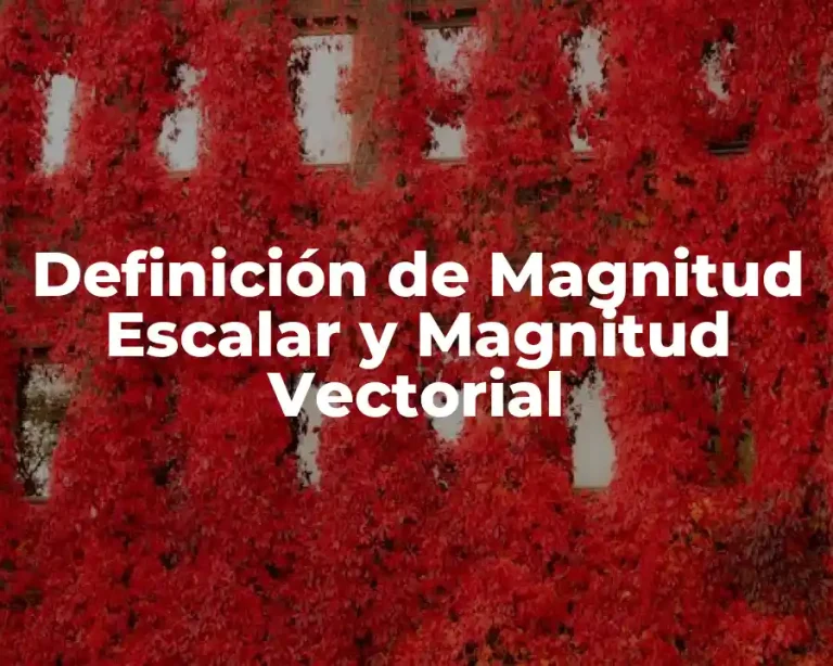 Definición de Magnitud Escalar y Magnitud Vectorial