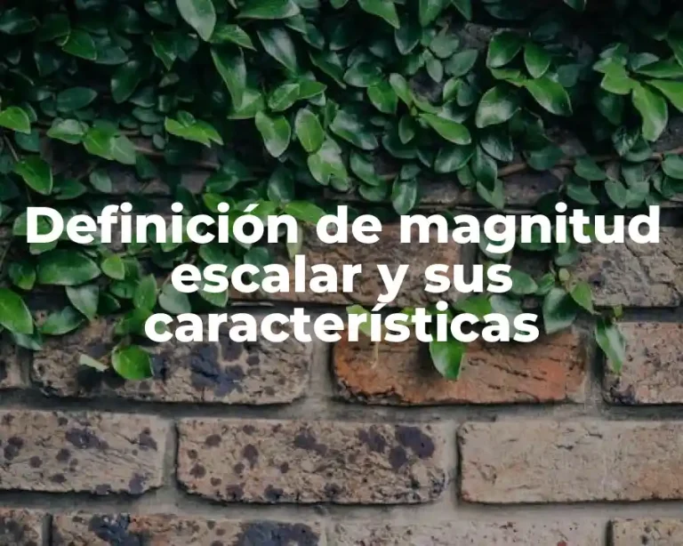 Definición de magnitud escalar y sus características