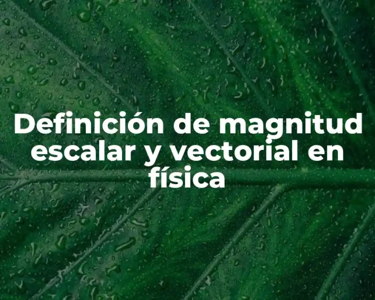 Definición de magnitud escalar y vectorial en física