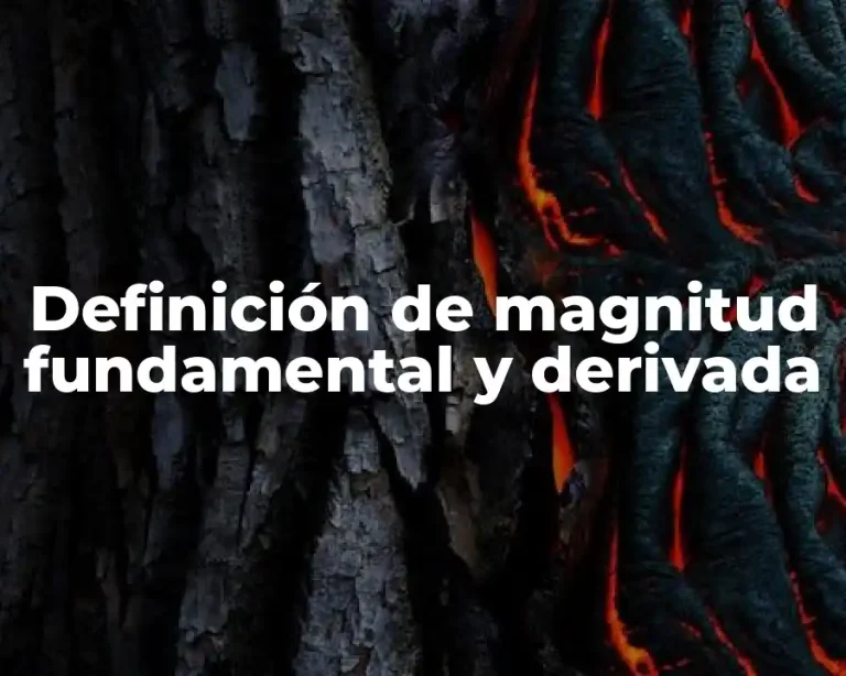 Definición de magnitud fundamental y derivada