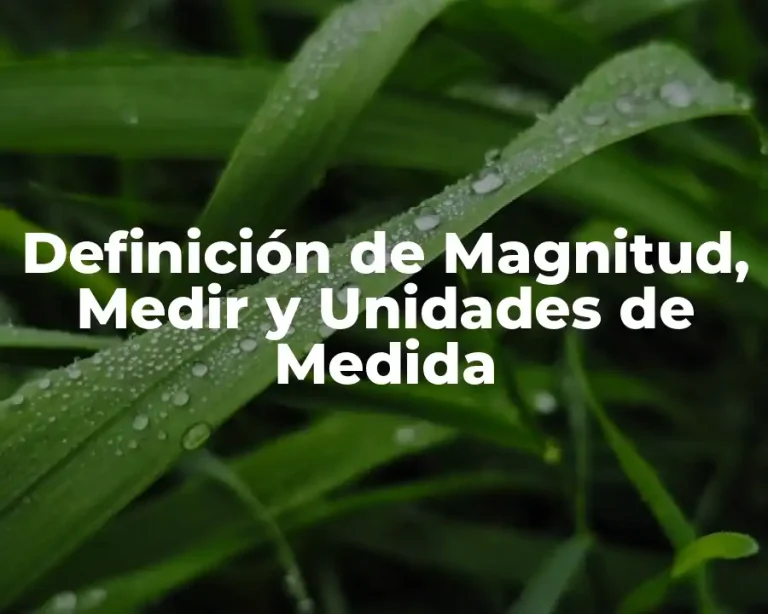 Definición de Magnitud, Medir y Unidades de Medida