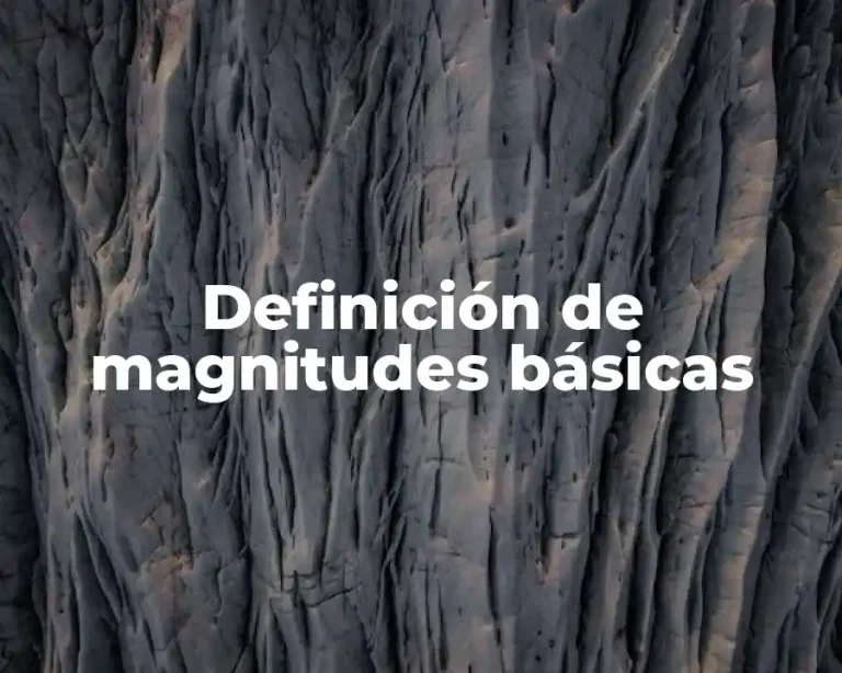 Definición de magnitudes básicas