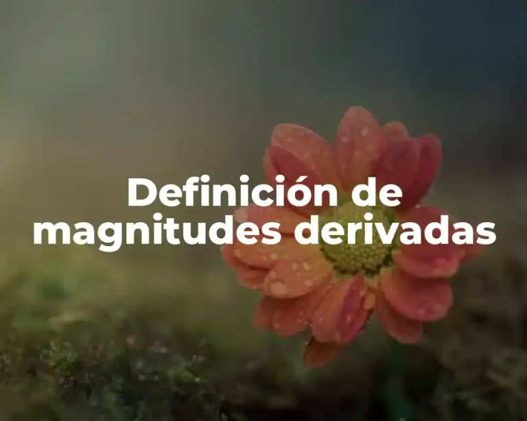 Definición de magnitudes derivadas