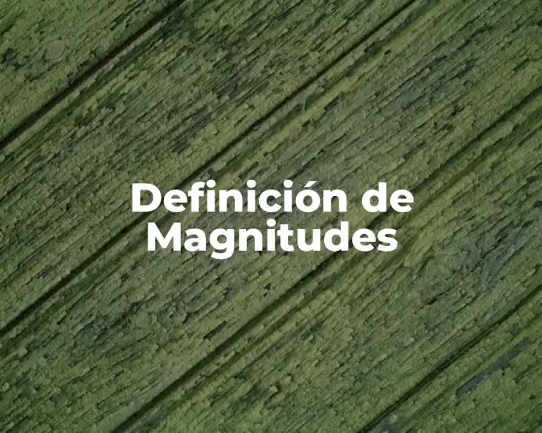 Definición de Magnitudes