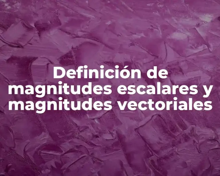 Definición de magnitudes escalares y magnitudes vectoriales