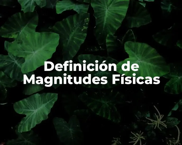 Definición de Magnitudes Físicas