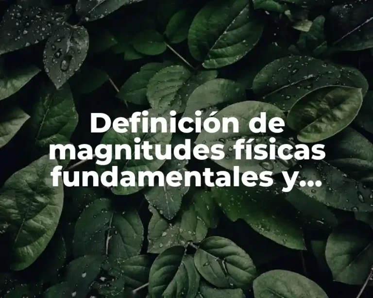 Definición de magnitudes físicas fundamentales y derivadas