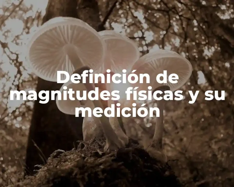 Definición de magnitudes físicas y su medición