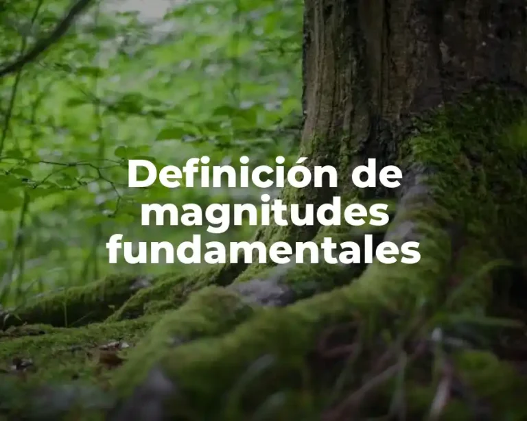 Definición de magnitudes fundamentales