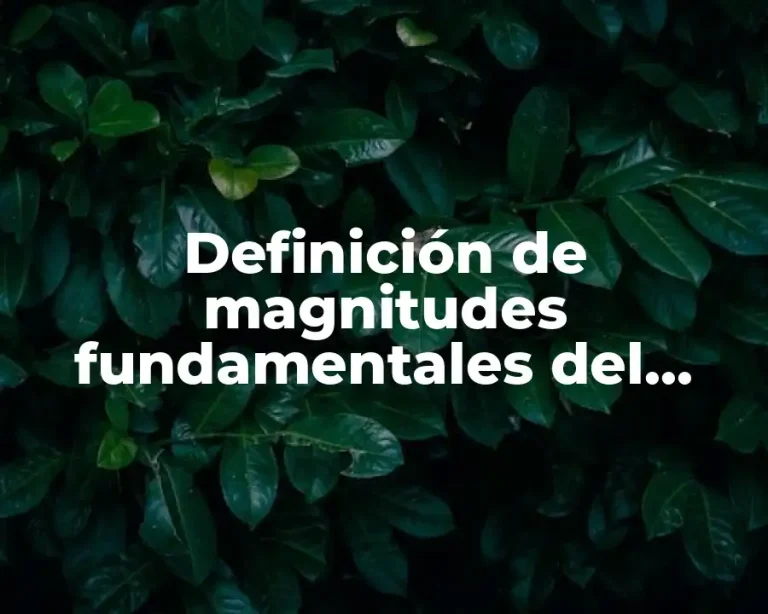 Definición de magnitudes fundamentales del sistema internacional