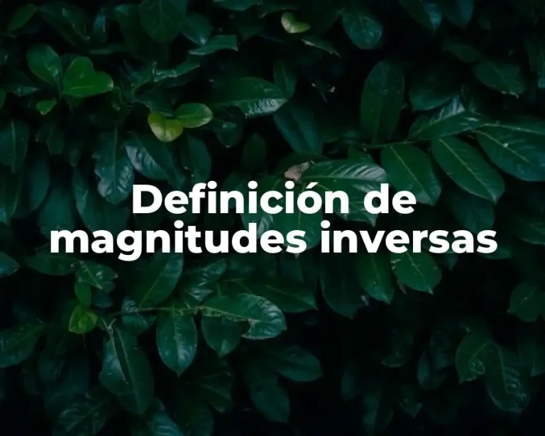Definición de magnitudes inversas
