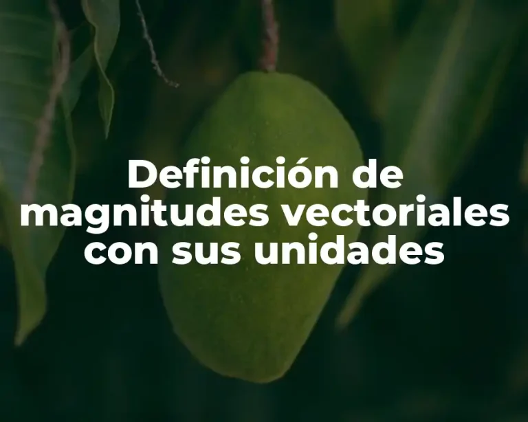 Definición de magnitudes vectoriales con sus unidades