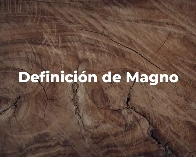 Definición de Magno