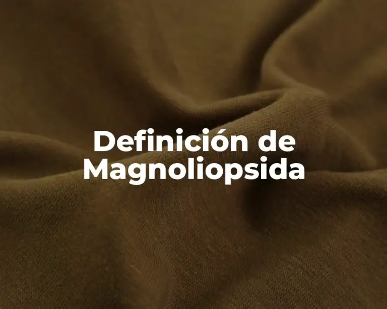 Definición de Magnoliopsida