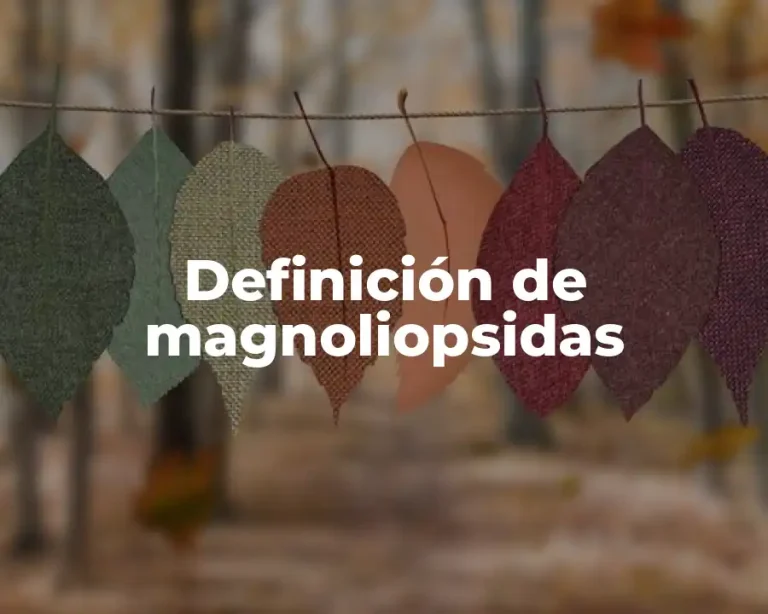 Definición de magnoliopsidas